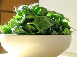 تناول الخضروات الورقية قد يحد من مخاطر الاصابة بالجلوكوما